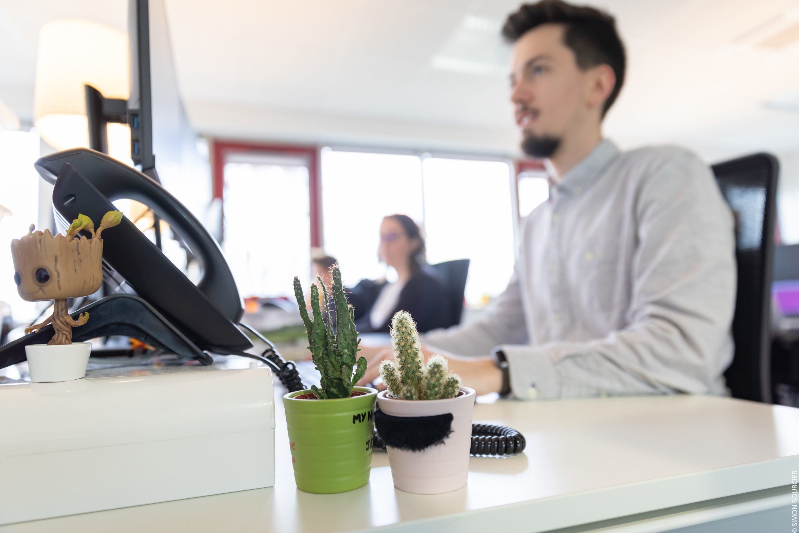 Cactus et téléphone sur un bureau au premier plan, collaborateur qui travaille en arrière-plan