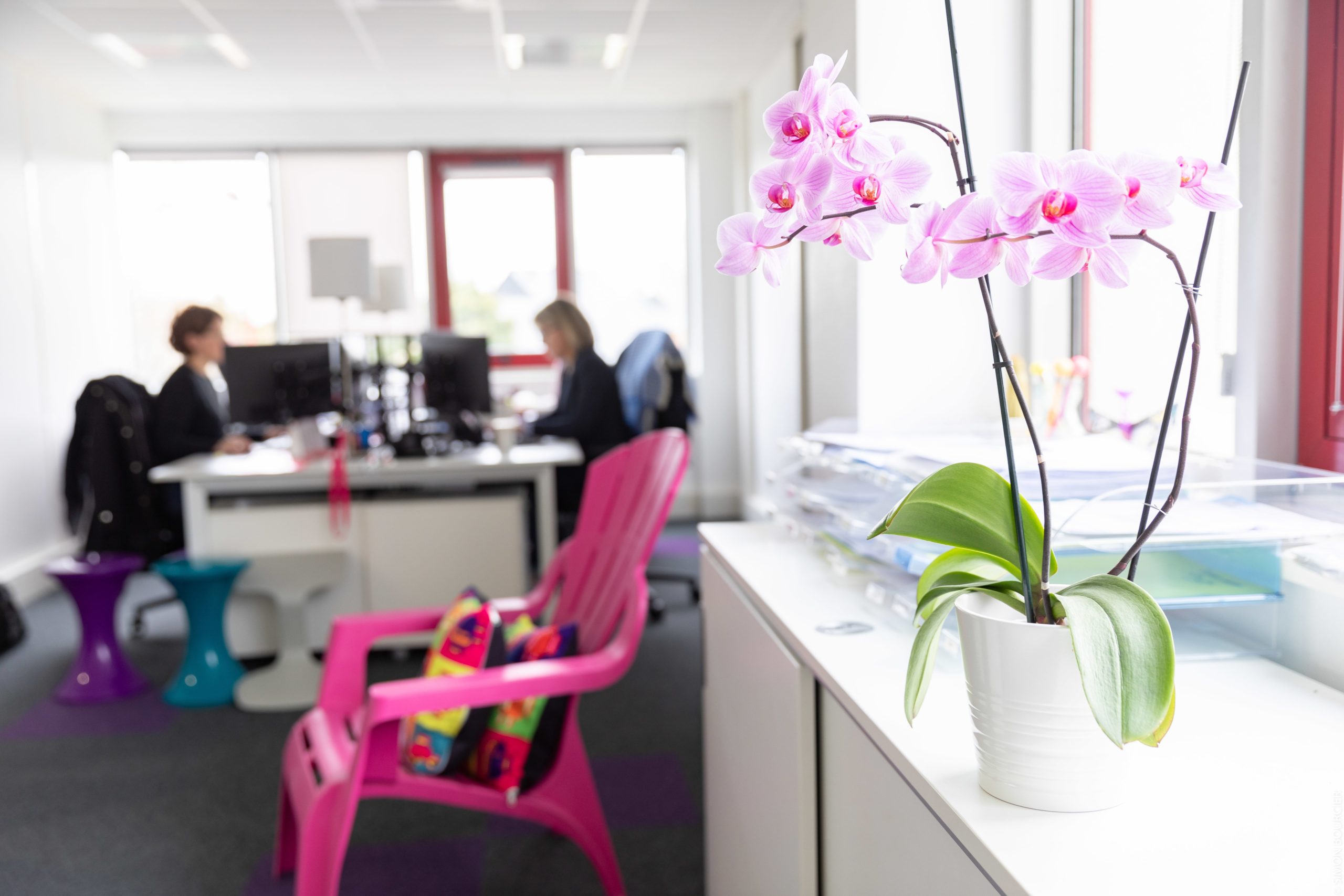 Bureau avec orchidée rose au premier plan et deux personnes qui travaillent en fond